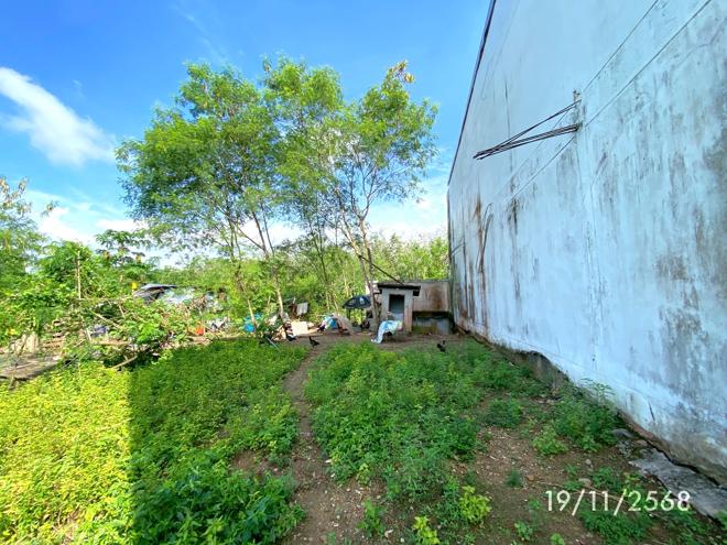รูป บ้านเดี่ยว 247 ตร.วา สะเดา สงขลา 3.6M - รูปที่ 8/20