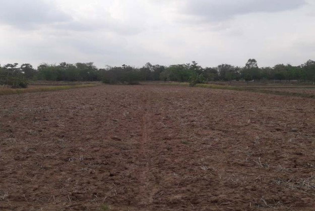 picture LAND 3000 Sq.w. Muang Khon Kaen Khon Kaen for 6.3M - 2/4