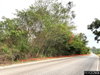 listing thumbnail image 45