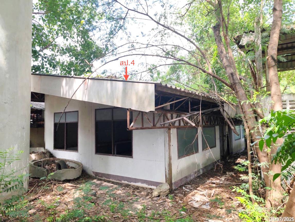 รูป โรงสี 5660 ตร.วา ดอนเจดีย์ สุพรรณบุรี 25.6M - รูปที่ 48/58