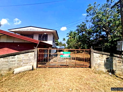 ขายบ้านเดี่ยว : บ้านเดี่ยว 925 ตร.วา เทิง เชียงราย 3.7M