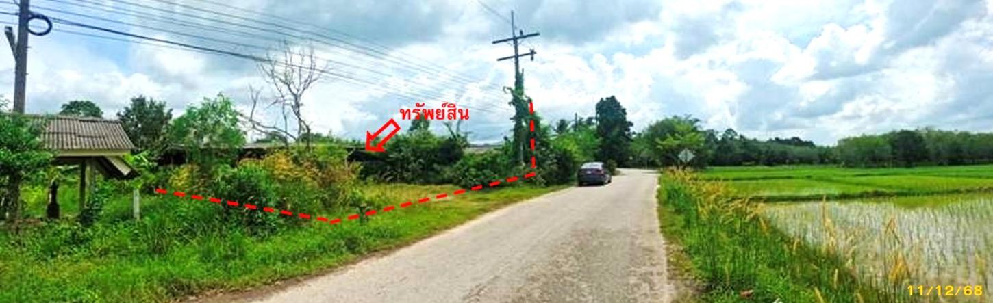 picture FACTORY 335 Sq.w. Khok Pho Pattani for 2M - 10/14