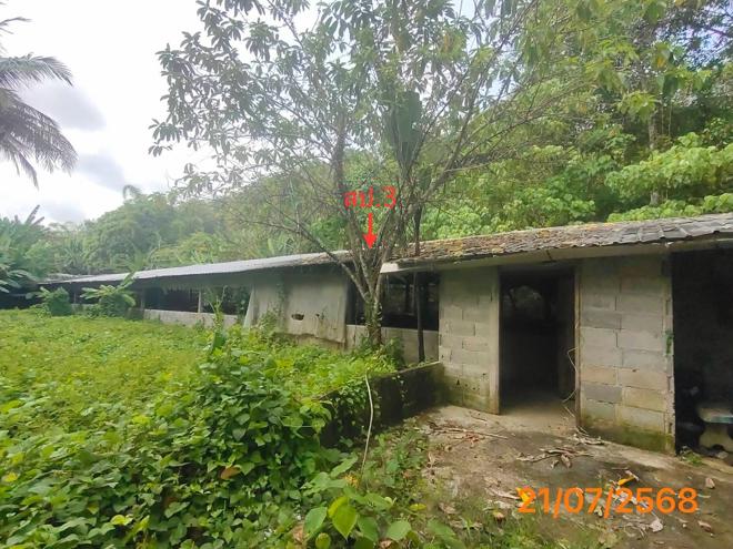 รูป บ้านเดี่ยว 4455.3 ตร.วา ตะกั่วทุ่ง พังงา 5.3M - รูปที่ 3/42