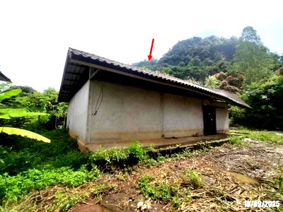 บ้านเดี่ยว 336 ตร.วา วังสะพุง เลย 1.3M