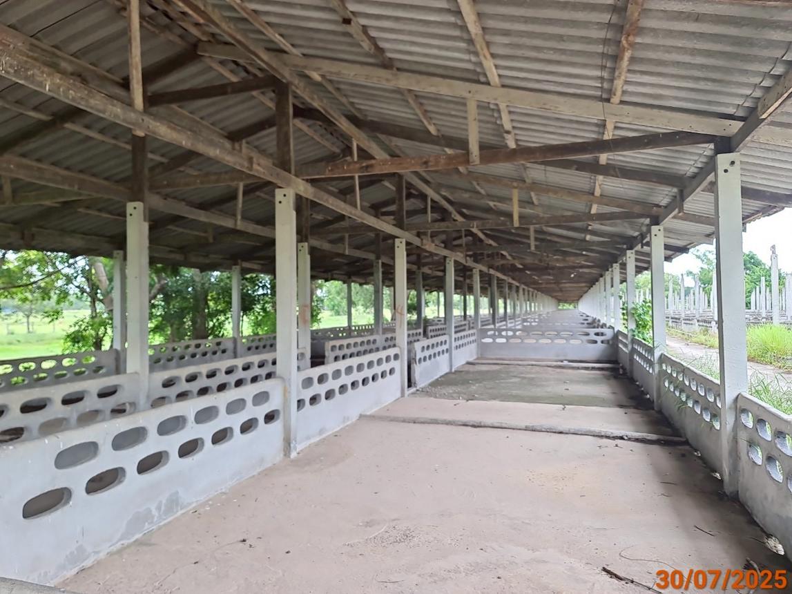 รูป ฟาร์ม 3846 ตร.วา กระสัง บุรีรัมย์ 4.7M - รูปที่ 20/34