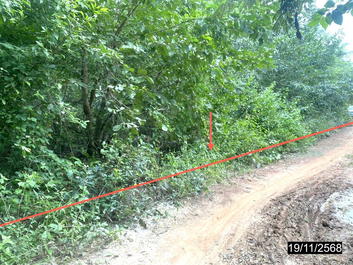 รูป บ้านเดี่ยว 14725.3 ตร.วา เมืองกาฬสินธุ์ กาฬสินธุ์ 28.4M - รูปที่ 31/38