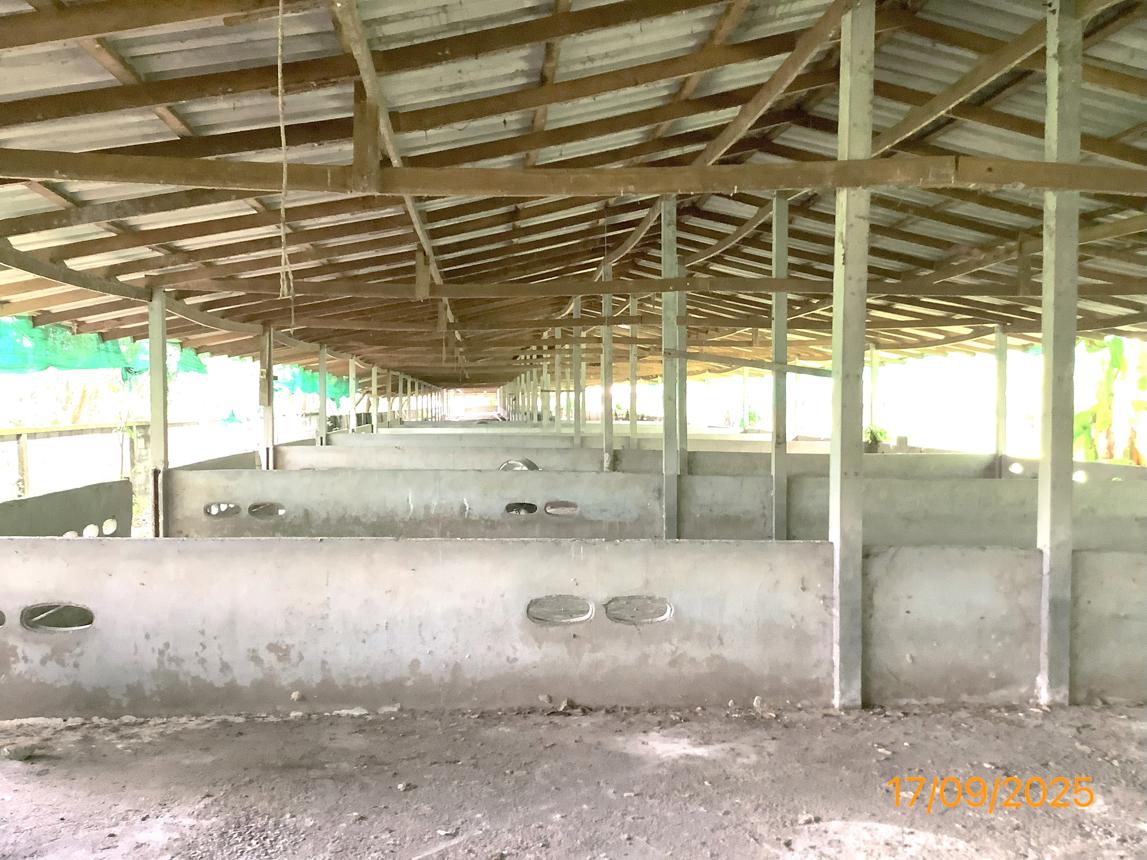 รูป ฟาร์ม 2259.1 ตร.วา เฉลิมพระเกียรติ นครศรีธรรมราช 5.6M - รูปที่ 20/36