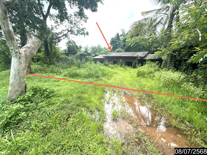 รูป บ้านเดี่ยว 10506.7 ตร.วา เดชอุดม อุบลราชธานี 2.3M - รูปที่ 11/26