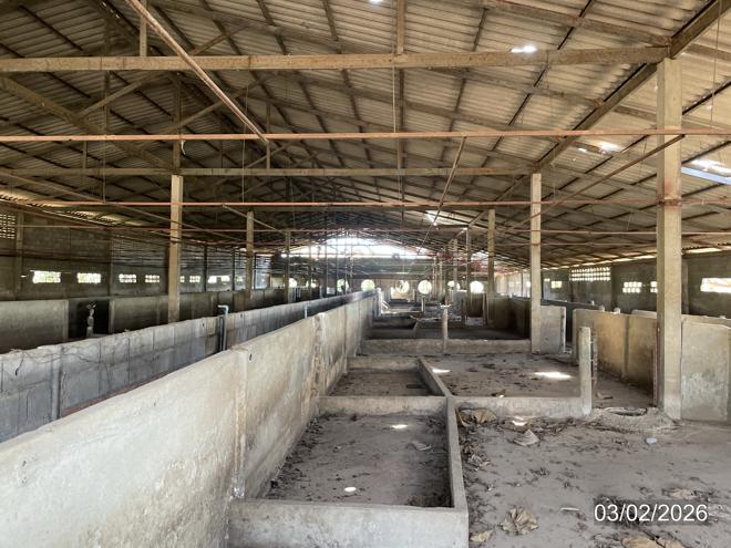 picture LAND 848.1 Sq.w. Si Sam Rong Sukhothai for 3.1M - 5/30