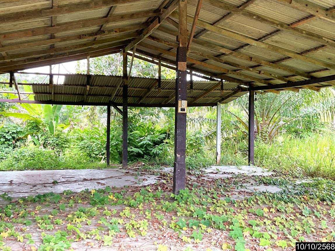 รูป บ้านเดี่ยว 3646 ตร.วา ทุ่งสง นครศรีธรรมราช 12M - รูปที่ 29/38