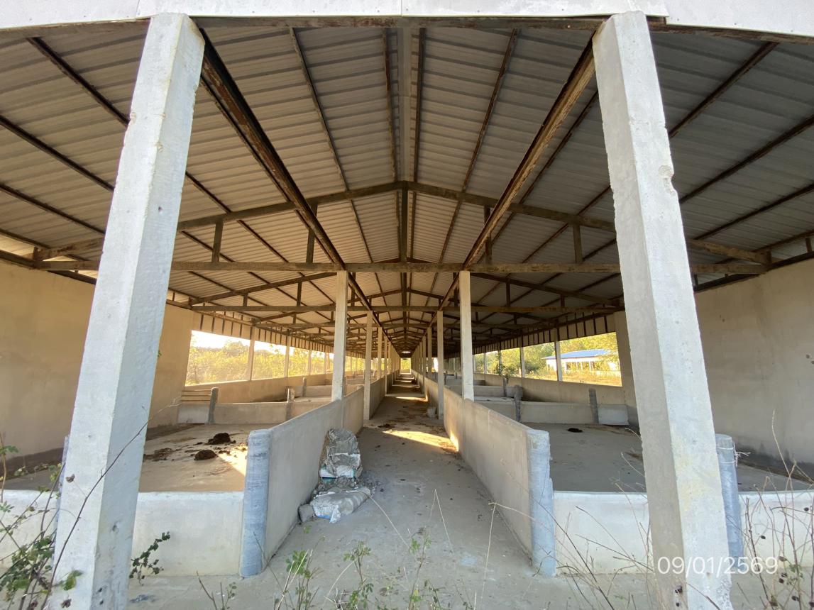 รูป ฟาร์ม 6418.2 ตร.วา พนัสนิคม ชลบุรี 9.5M - รูปที่ 24/34