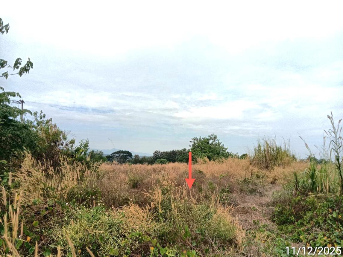 picture FACTORY 3184 Sq.w. Song Phrae for 4.5M - 13/20