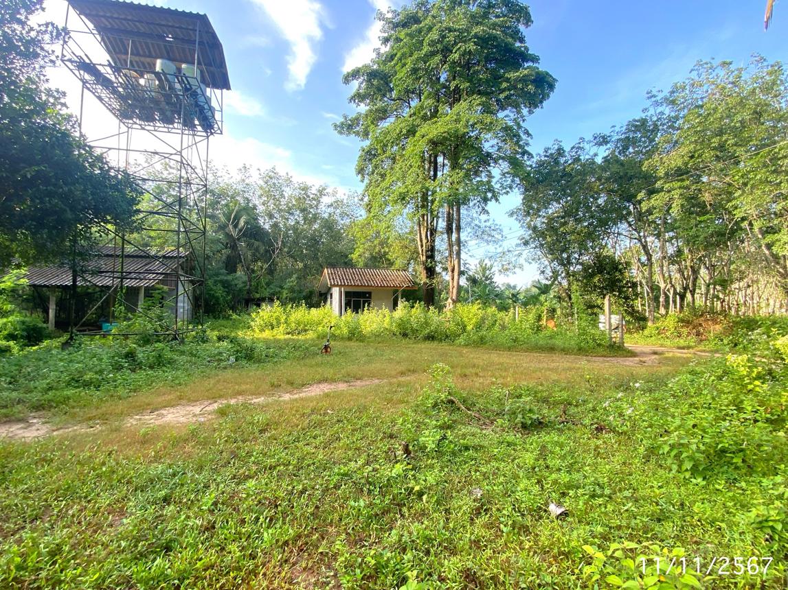 รูป ฟาร์ม 1709.6 ตร.วา ป่าบอน พัทลุง 3.2M - รูปที่ 36/40