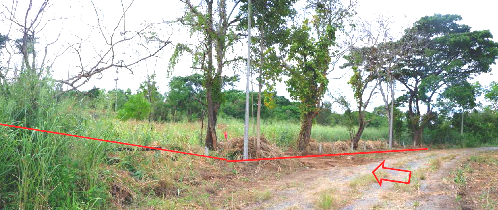 รูป ที่ดินพร้อมสิ่งปลูกสร้าง 9554 ตร.วา อำเภอมวกเหล็ก สระบุรี 74.4M - รูปที่ 14/26