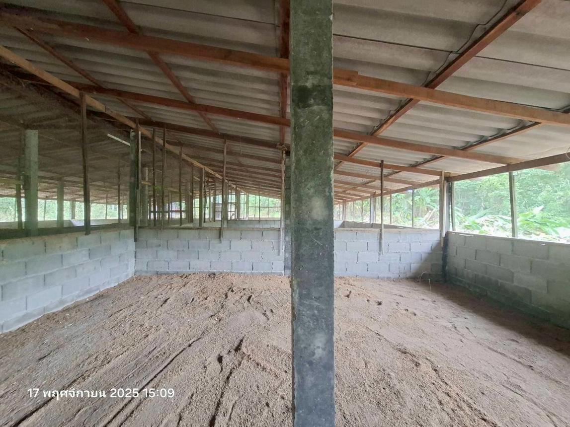 รูป เพิงอเนกประสงค์ 3197.3 ตร.วา ฮอด เชียงใหม่ 3.2M - รูปที่ 16/20