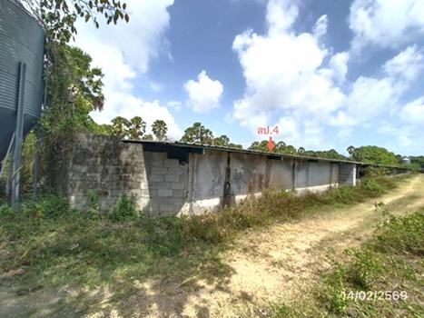 รูป ฟาร์ม 3464 ตร.วา สทิงพระ สงขลา 9.7M - รูปที่ 45/48