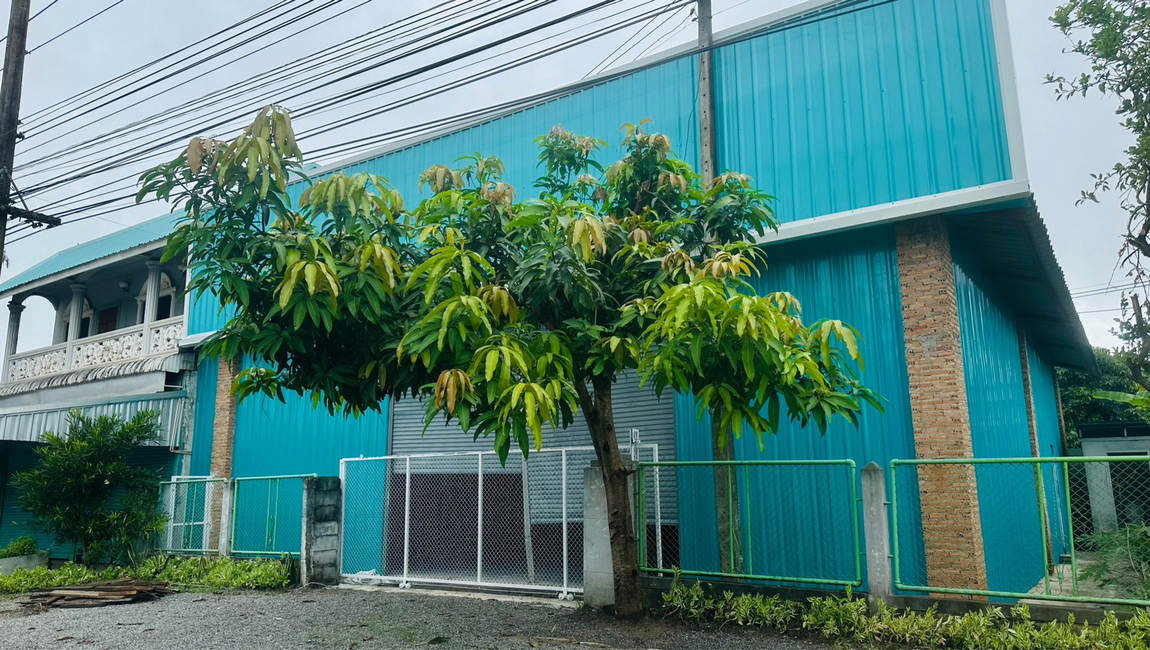 picture Call : 089-899-4482 Commercial buildings 3 Unit with warehouse space, The electrical and water systems are ready for use - 3/9