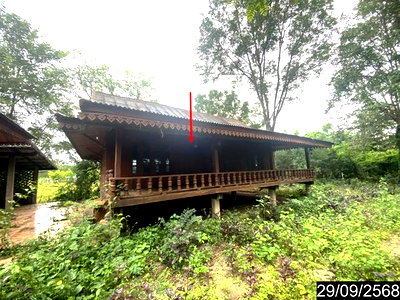Houses for sale Tha Bo Nongkai : HOME 1023 Sq.w. Tha Bo Nongkai for 2.7M