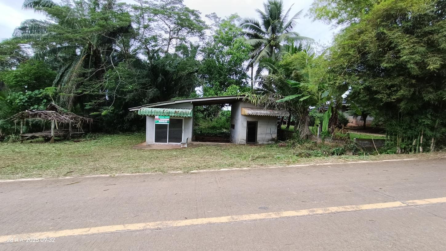 รูป บ้านเดี่ยว 344 ตร.วา ชัยบุรี สุราษฎร์ธานี 597,000 - รูปที่ 21/36