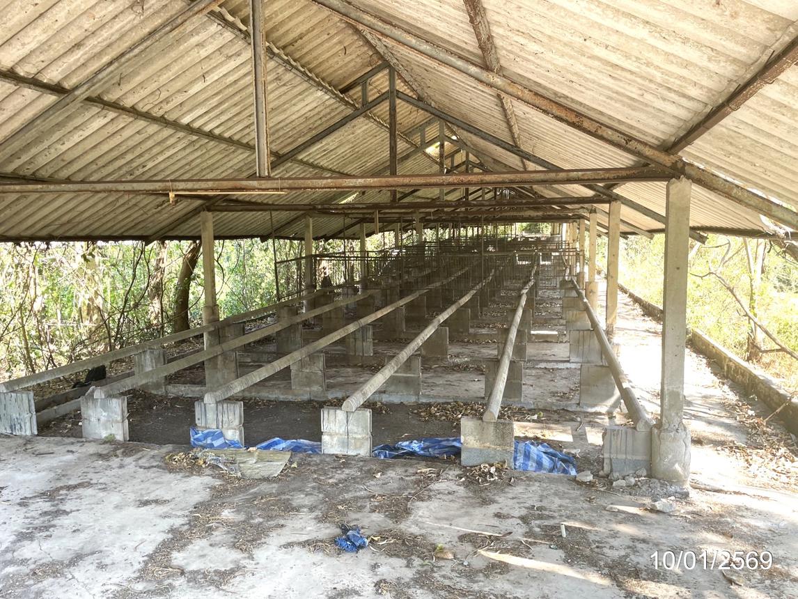 picture LAND 12644 Sq.w. Ko Chan Chonburi for 14.6M - 35/44