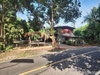 listing thumbnail image 14