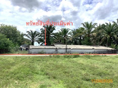 รูป ฟาร์ม 2259.1 ตร.วา เฉลิมพระเกียรติ นครศรีธรรมราช 5.6M - รูปที่ 33/36
