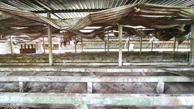 รูป เพิงอเนกประสงค์ 4000 ตร.วา ศรีนครินทร์ พัทลุง 5.1M - รูปที่ 18/40