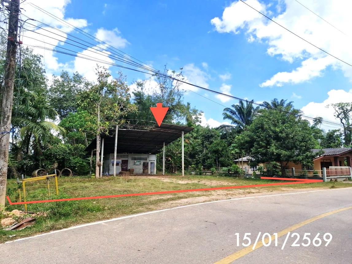 picture FACTORY 179 Sq.w. Huai Yot Trang for 962,000 - 13/18