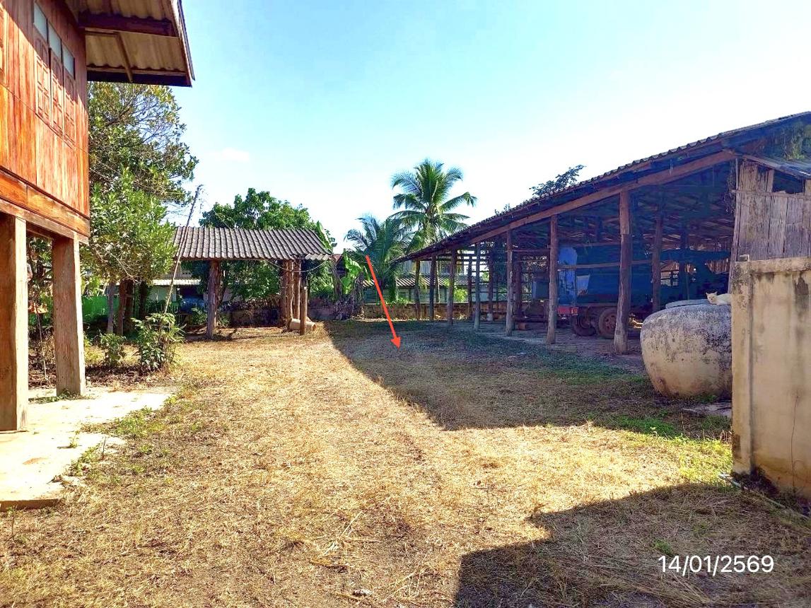 รูป เพิงอเนกประสงค์ 278 ตร.วา ดอกคำใต้ พะเยา 321,000 - รูปที่ 13/20