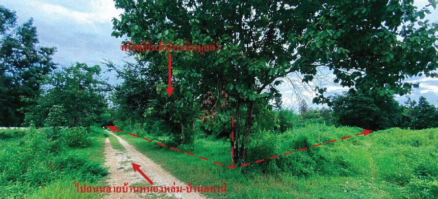 picture LAND 3552 Sq.w. Hang Chat Lamphang for 2.5M - 8/9