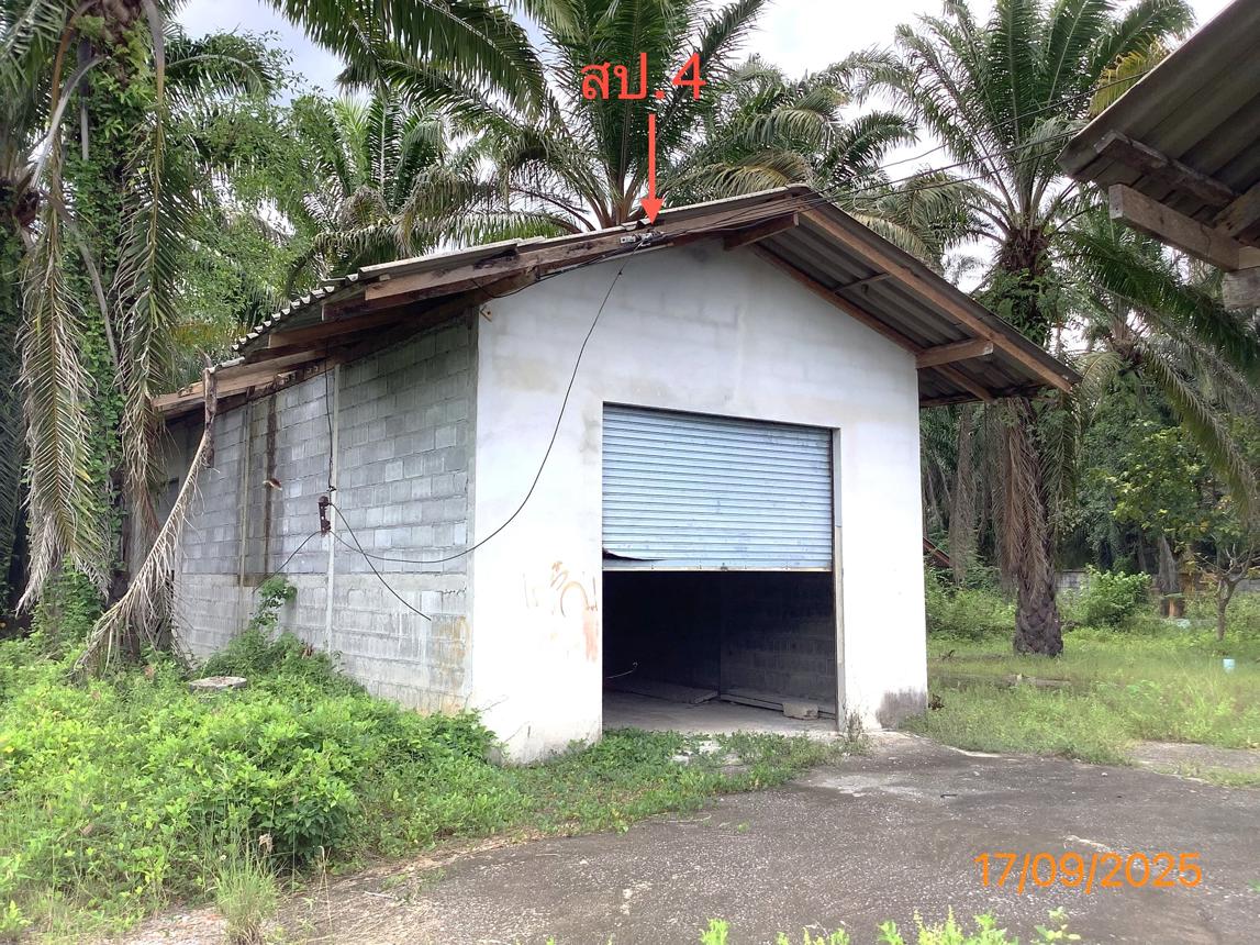 รูป ฟาร์ม 2259.1 ตร.วา เฉลิมพระเกียรติ นครศรีธรรมราช 5.6M - รูปที่ 25/36