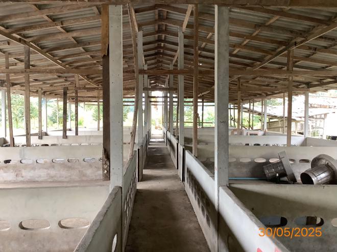 picture LAND 3649 Sq.w. Chalermphrakiet Nakhon Sri Thammarat for 9.9M - 6/38