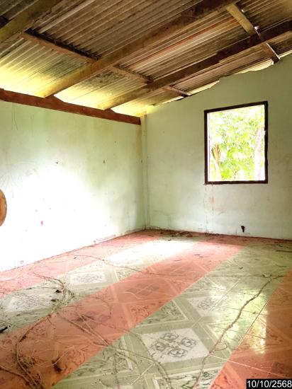 รูป บ้านเดี่ยว 3646 ตร.วา ทุ่งสง นครศรีธรรมราช 12M - รูปที่ 13/38