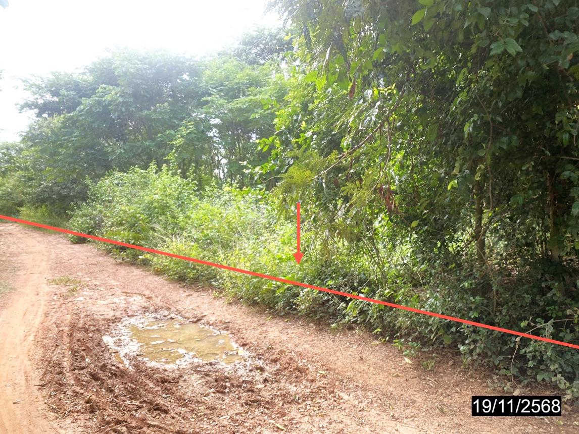 รูป บ้านเดี่ยว 14725.3 ตร.วา เมืองกาฬสินธุ์ กาฬสินธุ์ 28.4M - รูปที่ 32/38