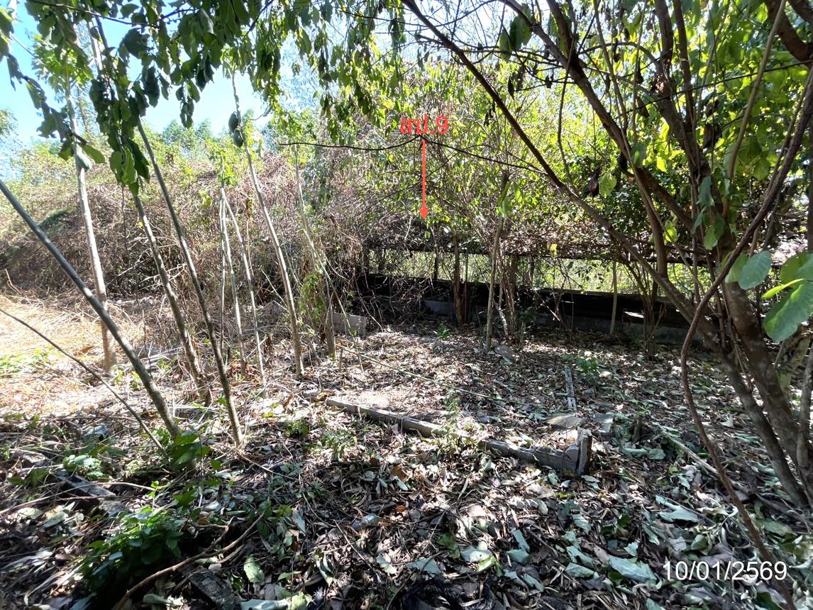 picture LAND 12644 Sq.w. Ko Chan Chonburi for 14.6M - 38/44