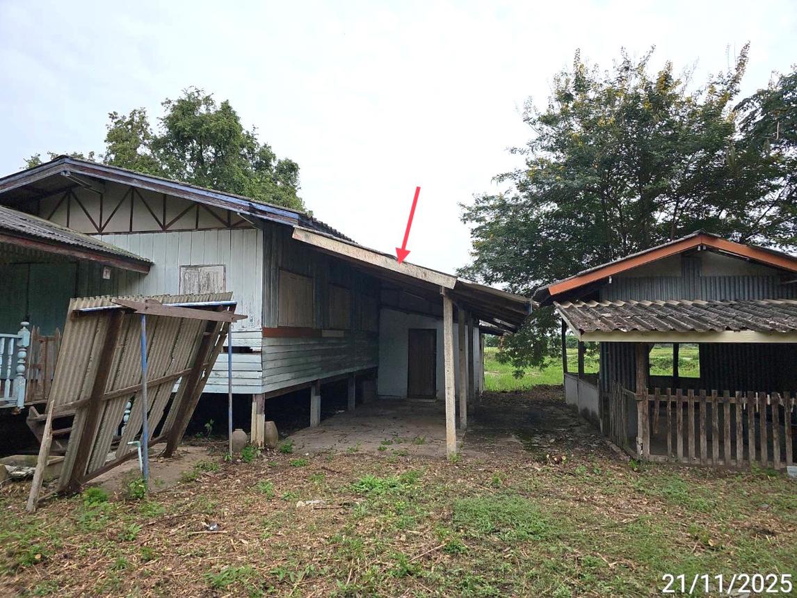 รูป บ้านเดี่ยว 247 ตร.วา ดงเจริญ พิจิตร 403,000 - รูปที่ 34/42