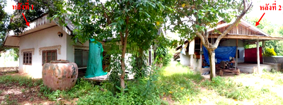 ที่ดิน เมืองเลย เลย : ที่ดินพร้อมสิ่งปลูกสร้าง 790 ตร.วา อำเภอเมืองเลย เลย 1.6M