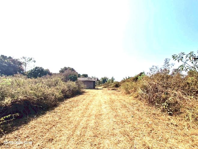 รูป เพิงอเนกประสงค์ 8800 ตร.วา จอมทอง เชียงใหม่ 6.2M - รูปที่ 3/26