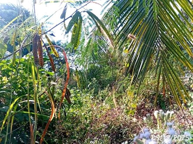 รูป บ้านเดี่ยว 456 ตร.วา หนองหาน อุดรธานี 569,000 - รูปที่ 8/24