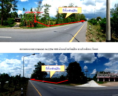 บ้านเดี่ยว ป่าบอน พัทลุง : ที่ดินว่างเปล่า 9513.3 ตร.วา ป่าบอน-พัทลุง ป่าบอน พัทลุง 62M