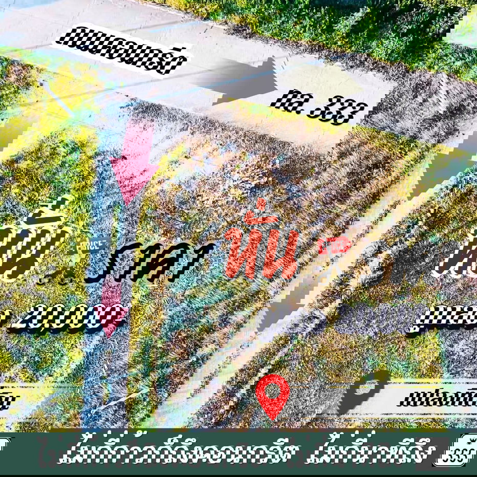 รูป ถูกลง⬇️2 หมื่น‼️ประหยัดเพิ่มอีกหลักพัน‼️ที่ดินอู่ทองในเขตเทศบาล🔥งานละ 170,000🔥มีน้ำไฟ ฟรีโอน ใกล้กทม. ⛳️น้ำไฟผ่านหน้า เพื่อนบ้านเป็นสิบ - รูปที่ 4/4