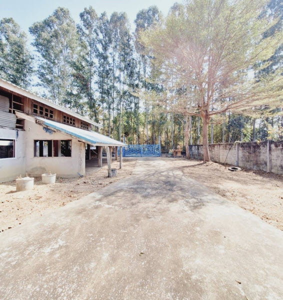 picture LAND 246 Sq.w. Muang Kamphaeng Phet Kamphaeng Phet for 1.4M - 5/6