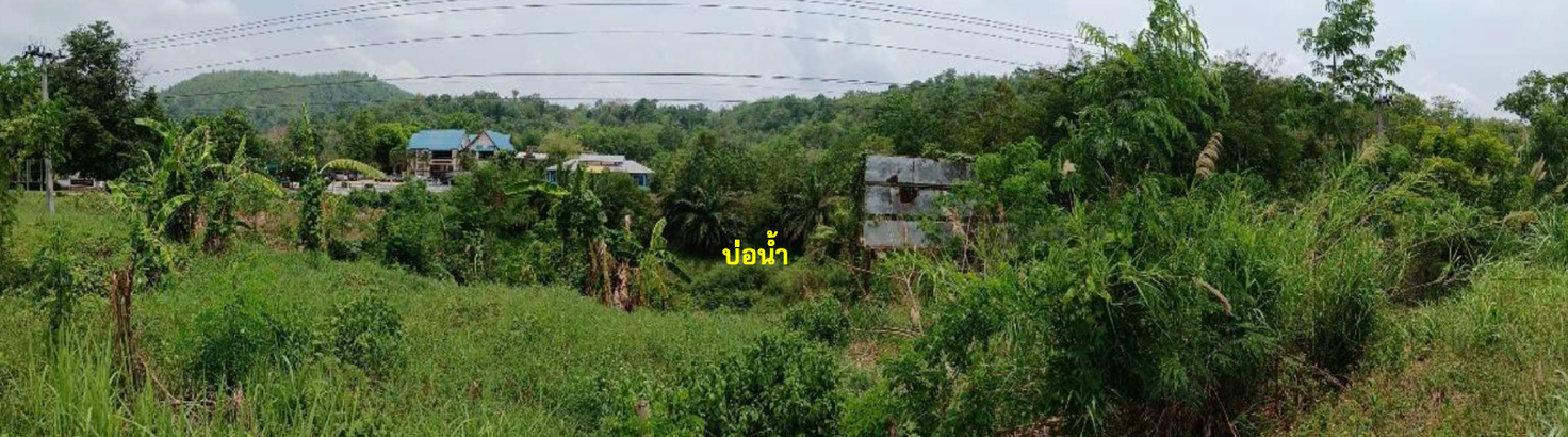รูป ที่ดินพร้อมสิ่งปลูกสร้าง 3343.5 ตร.วา อำเภอเมืองเลย เลย 19.2M - รูปที่ 11/27