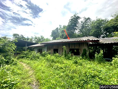 ขายบ้านเดี่ยว : บ้านเดี่ยว 10506.7 ตร.วา เดชอุดม อุบลราชธานี 2.3M