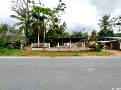 Factory for sale Songkhla : FACTORY 262 Sq.w. Chana Songkhla for 1.1M