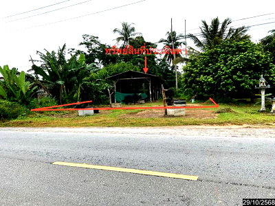 FACTORY 643 Sq.w. Thung Song Nakhon Sri Thammarat for 1.8M