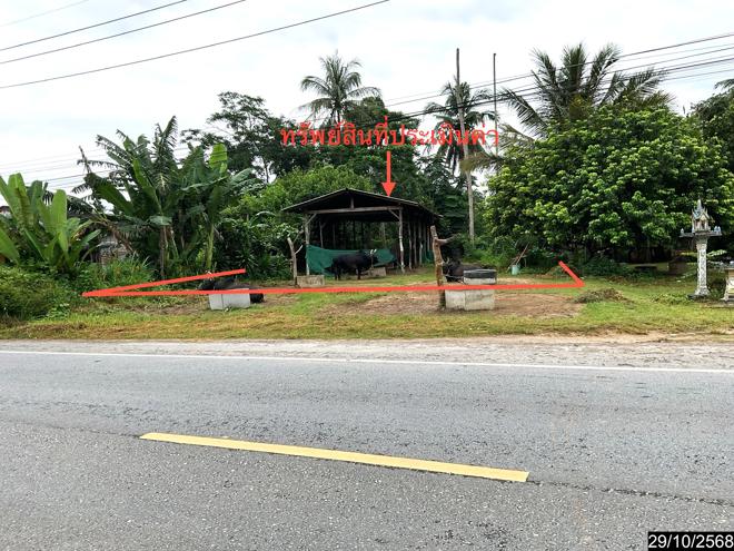 รูป เพิงอเนกประสงค์ 643 ตร.วา ทุ่งสง นครศรีธรรมราช 1.8M - รูปที่ 1/22