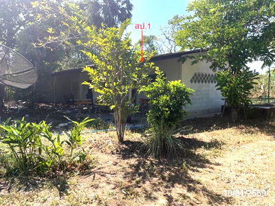LAND 12644 Sq.w. Ko Chan Chonburi for 20.4M