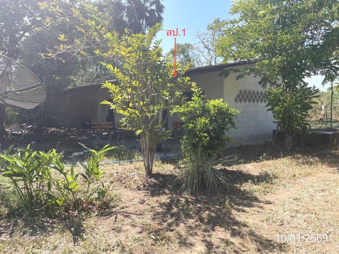 picture LAND 12644 Sq.w. Ko Chan Chonburi for 14.6M - 1/44