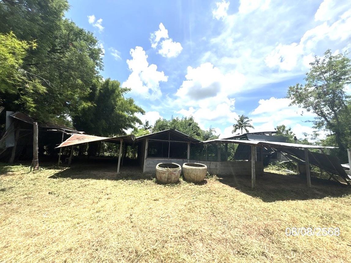 รูป บ้านเดี่ยว 623 ตร.วา ศรีณรงค์ สุรินทร์ 859,000 - รูปที่ 23/32